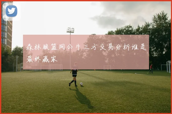 森林狼篮网公牛三方交易分析谁是最终赢家